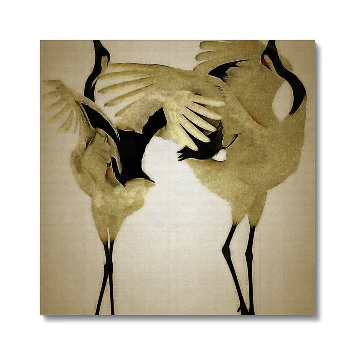 Balting Cranes Canvas