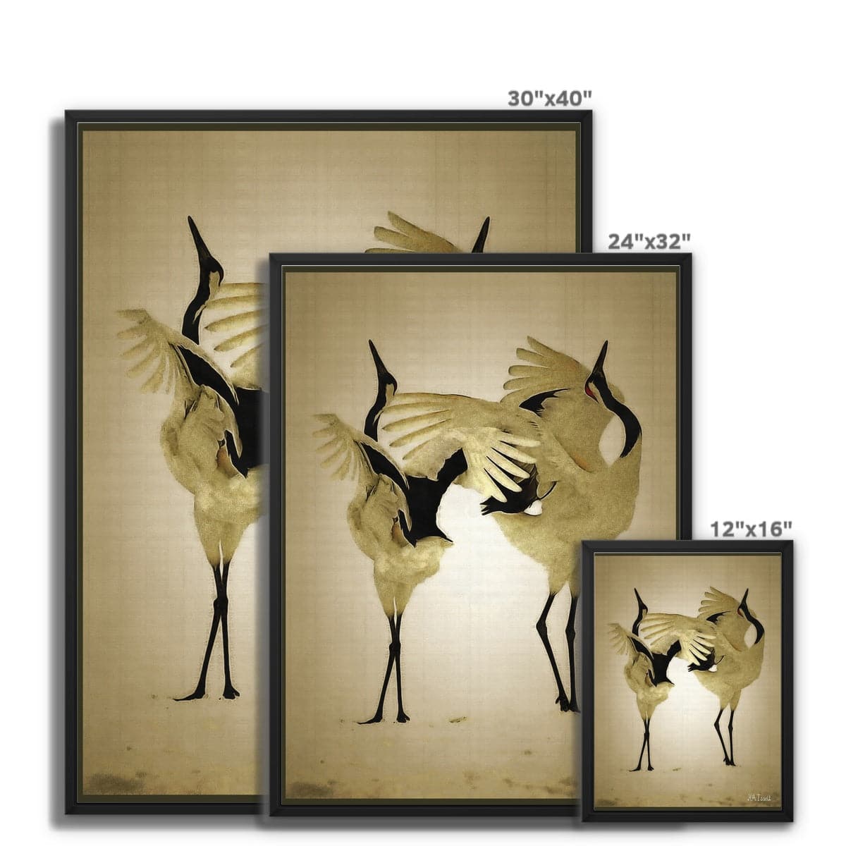 Balting Cranes Framed Canvas