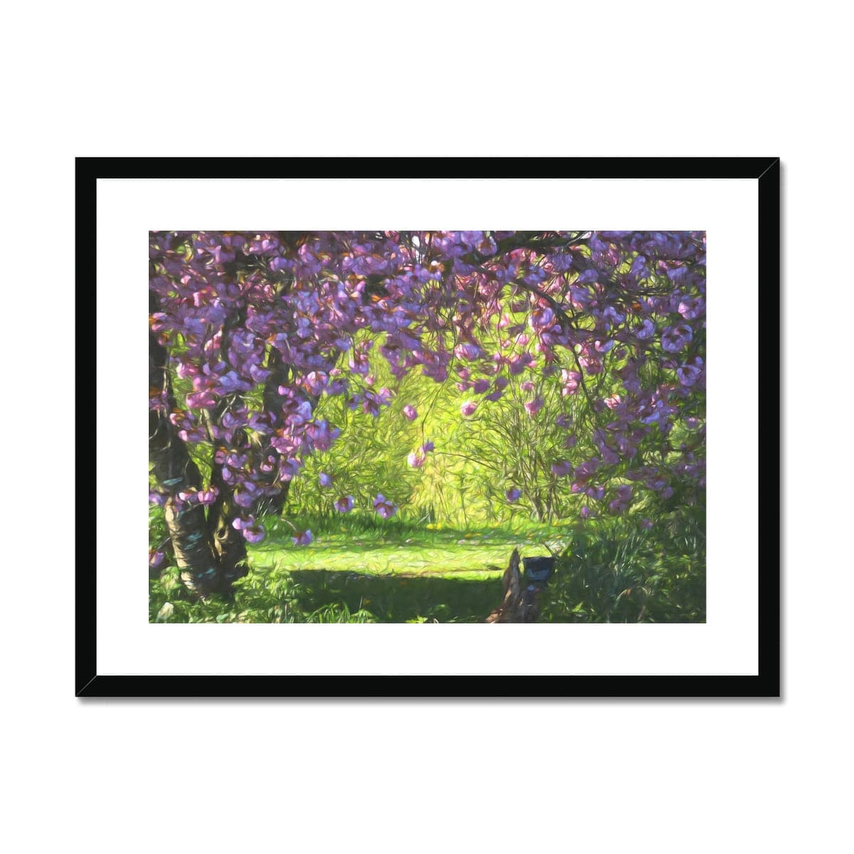Blossom delight, Framed & Mounted Print, by Sensus Studio