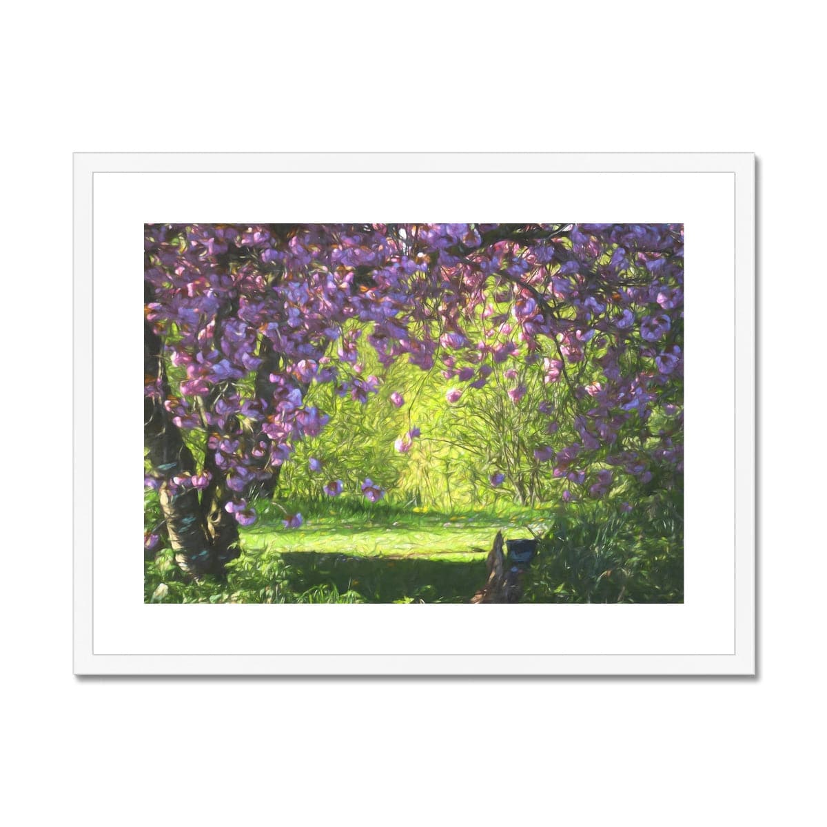 Blossom delight, Framed & Mounted Print, by Sensus Studio