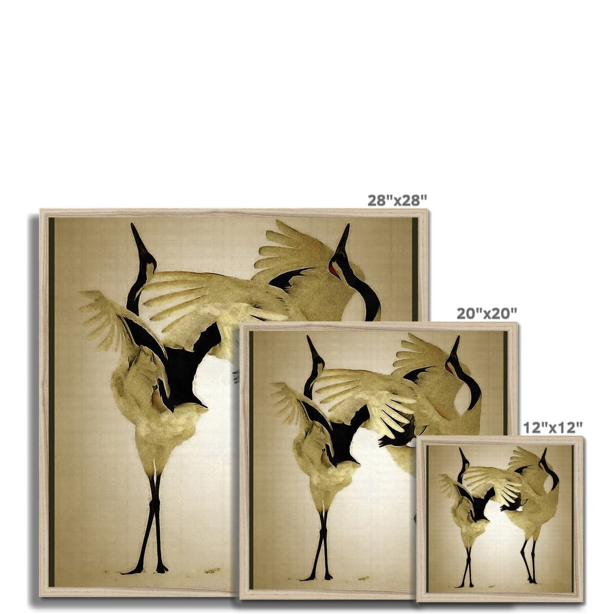 Balting Cranes Framed Print
