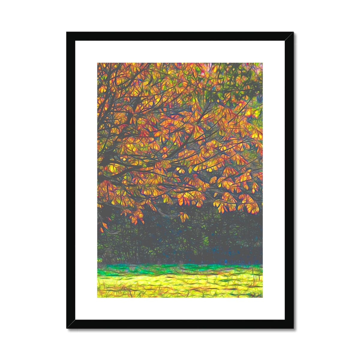 Beech in Autumn Framed & Mounted Print