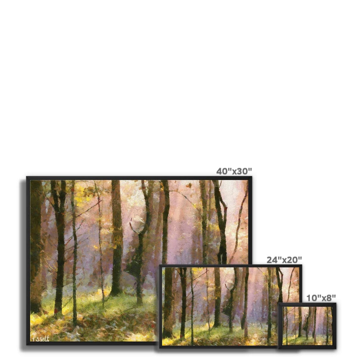 Beautiful Light in the Woods  Framed Canvas