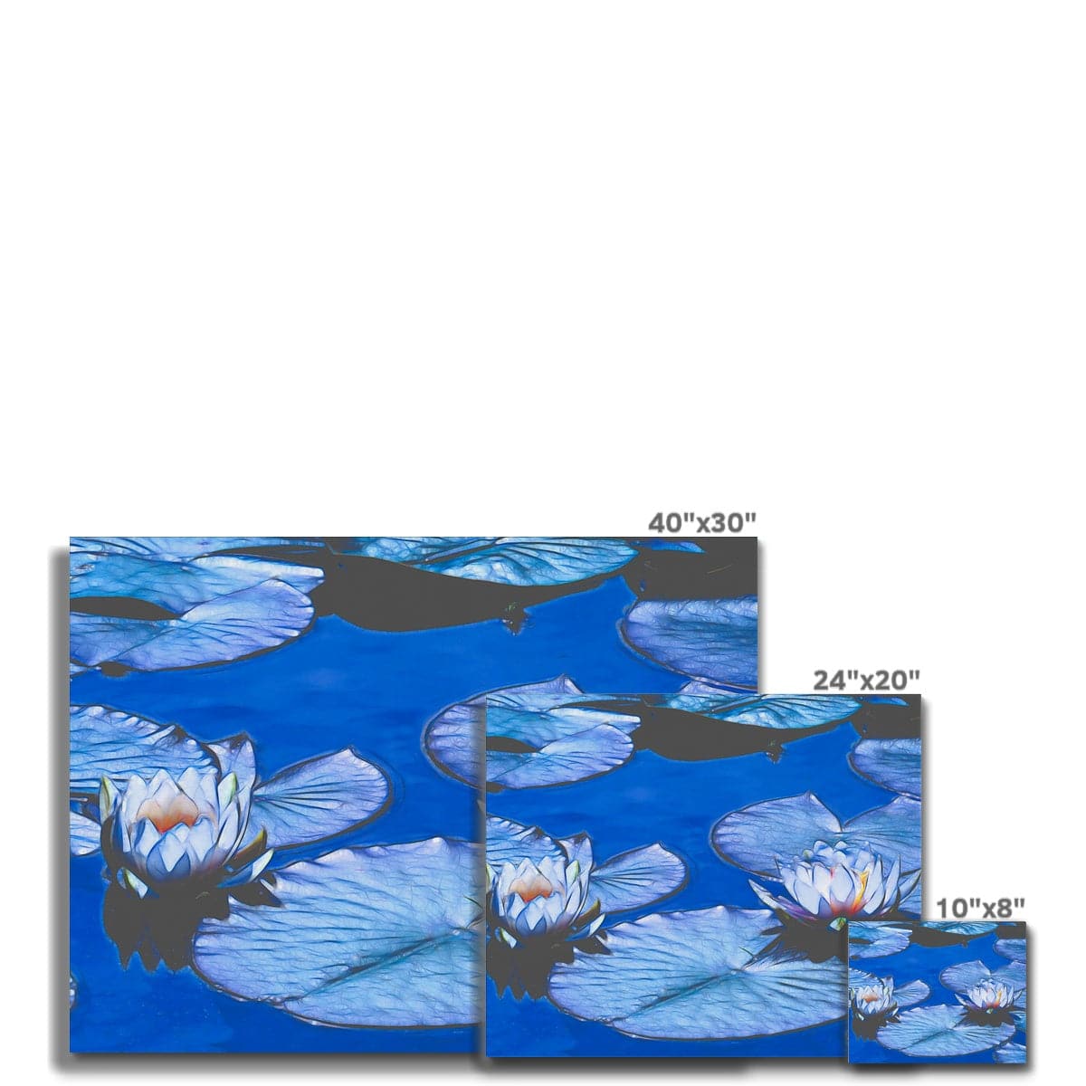 Blue waterlilies_1 by Mother Nature Art, Canvas