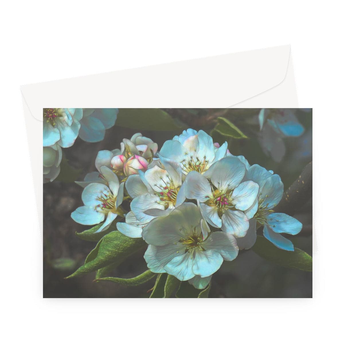 Apple blossom, Greeting Card, by Sensus Studio