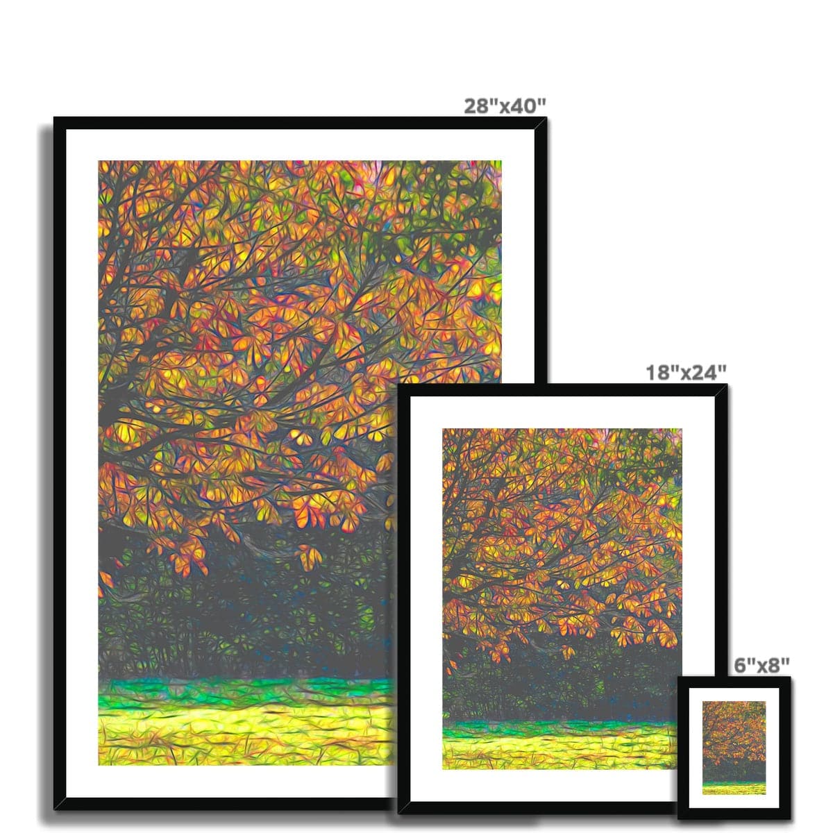 Beech in Autumn Framed & Mounted Print