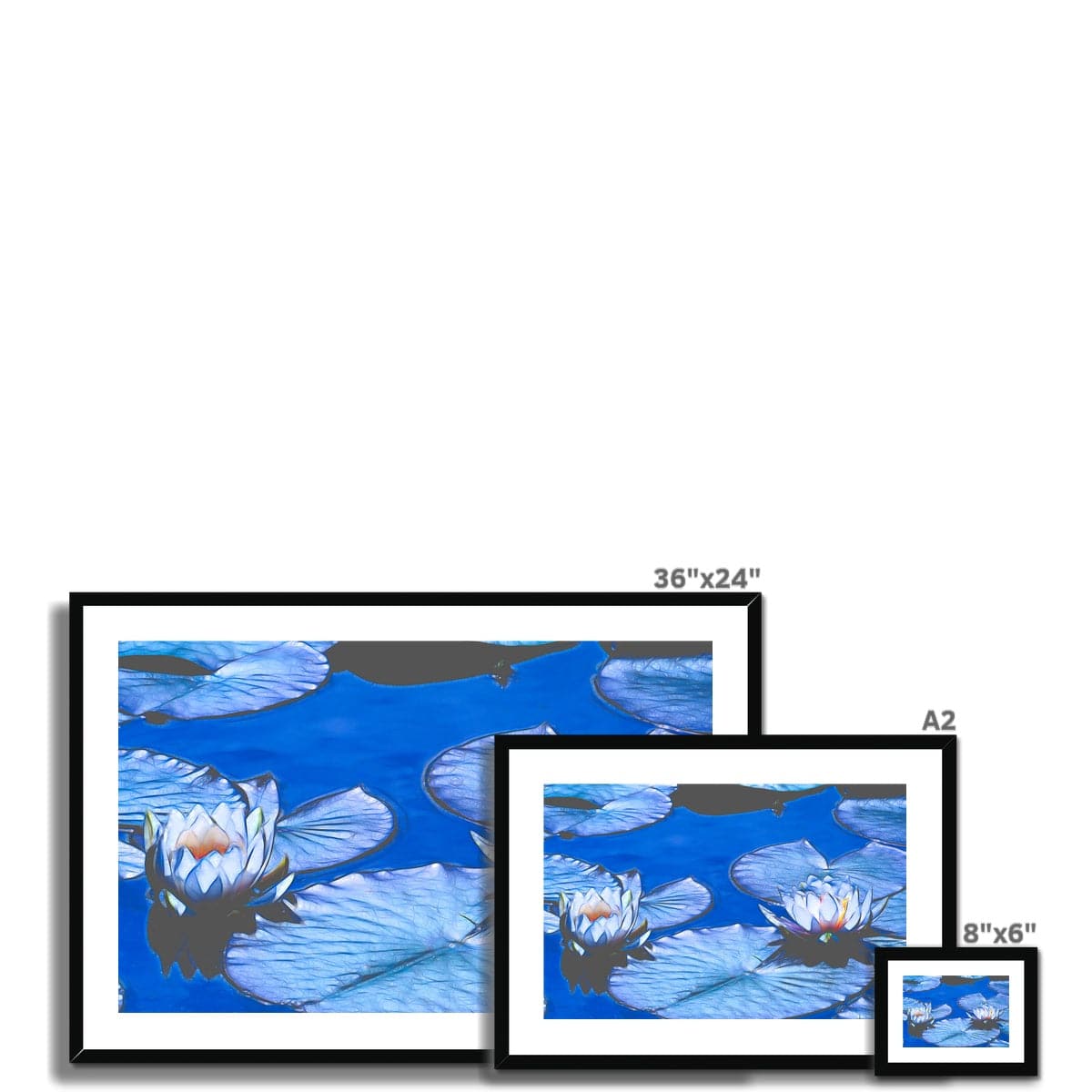 Blue waterlilies_1 Framed & Mounted Print
