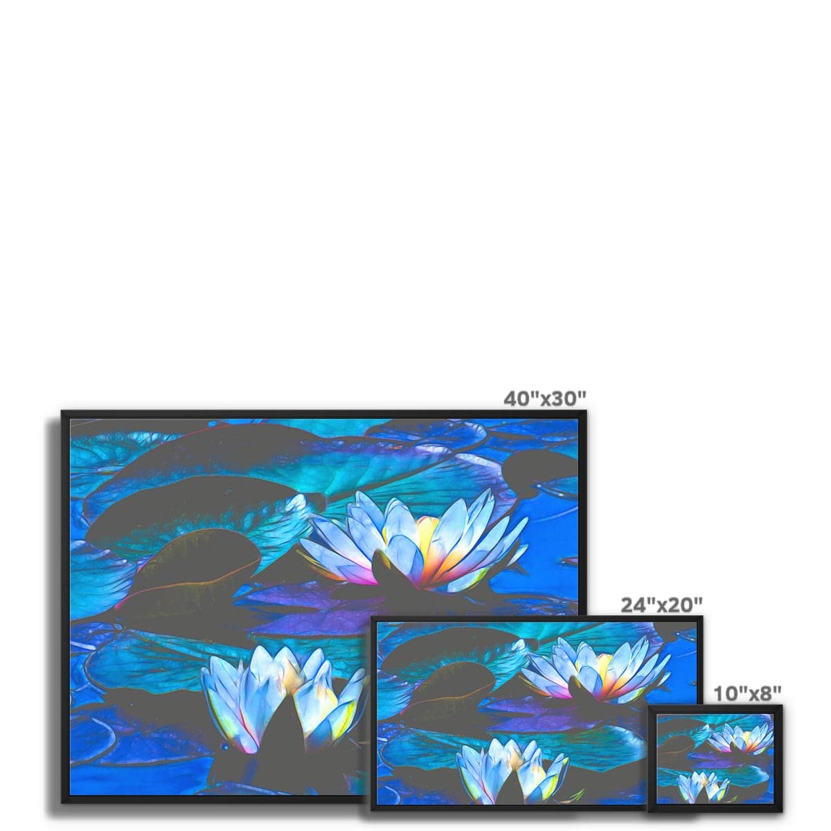 Blue waterlilies _3 Framed Canvas