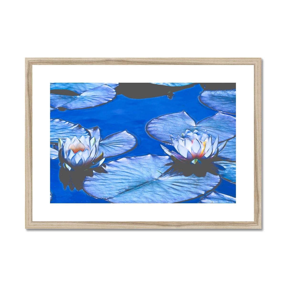 Blue waterlilies_1 Framed & Mounted Print