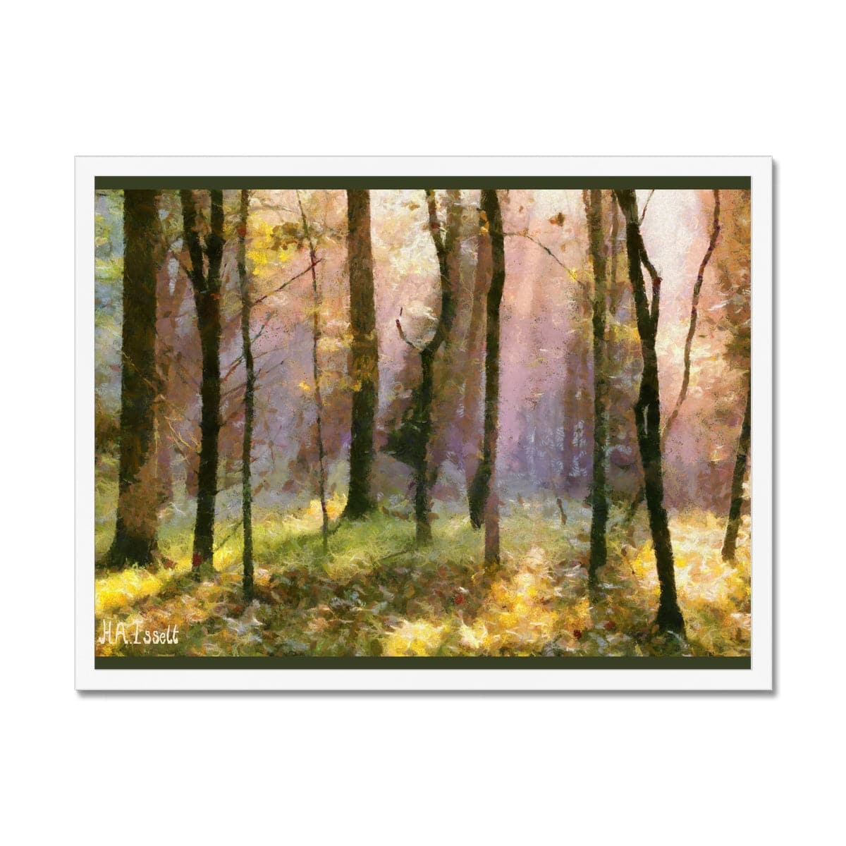 Beautiful Light in the Woods  Framed Print