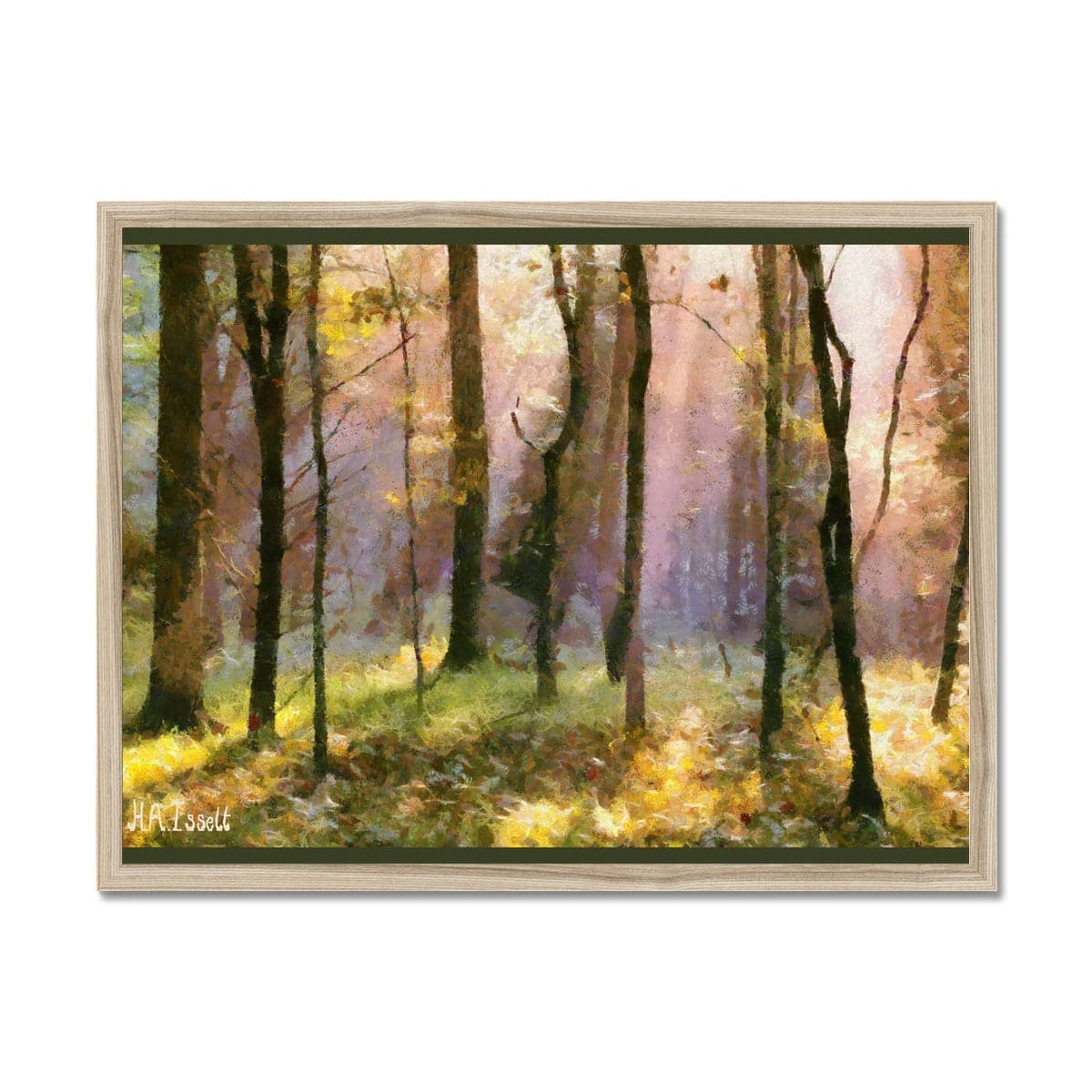 Beautiful Light in the Woods  Framed Print