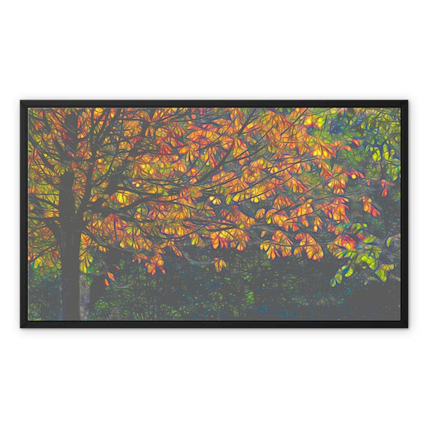 Beech in Autumn Framed Canvas