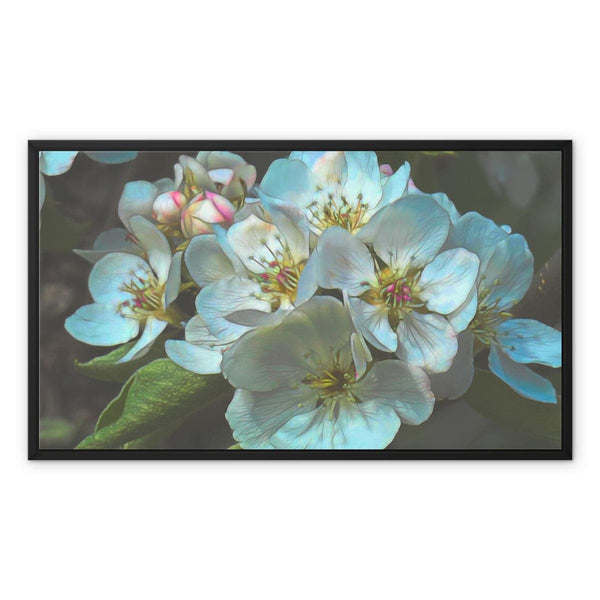 Apple blossom, Framed Canvas, by Sensus Studio