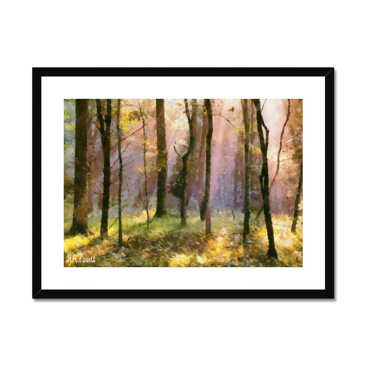 Beautiful Light in the Woods  Framed & Mounted Print