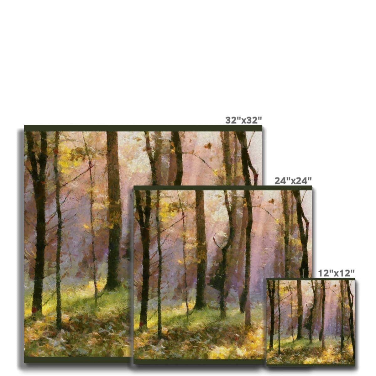 Beautiful Light in the Woods  Canvas