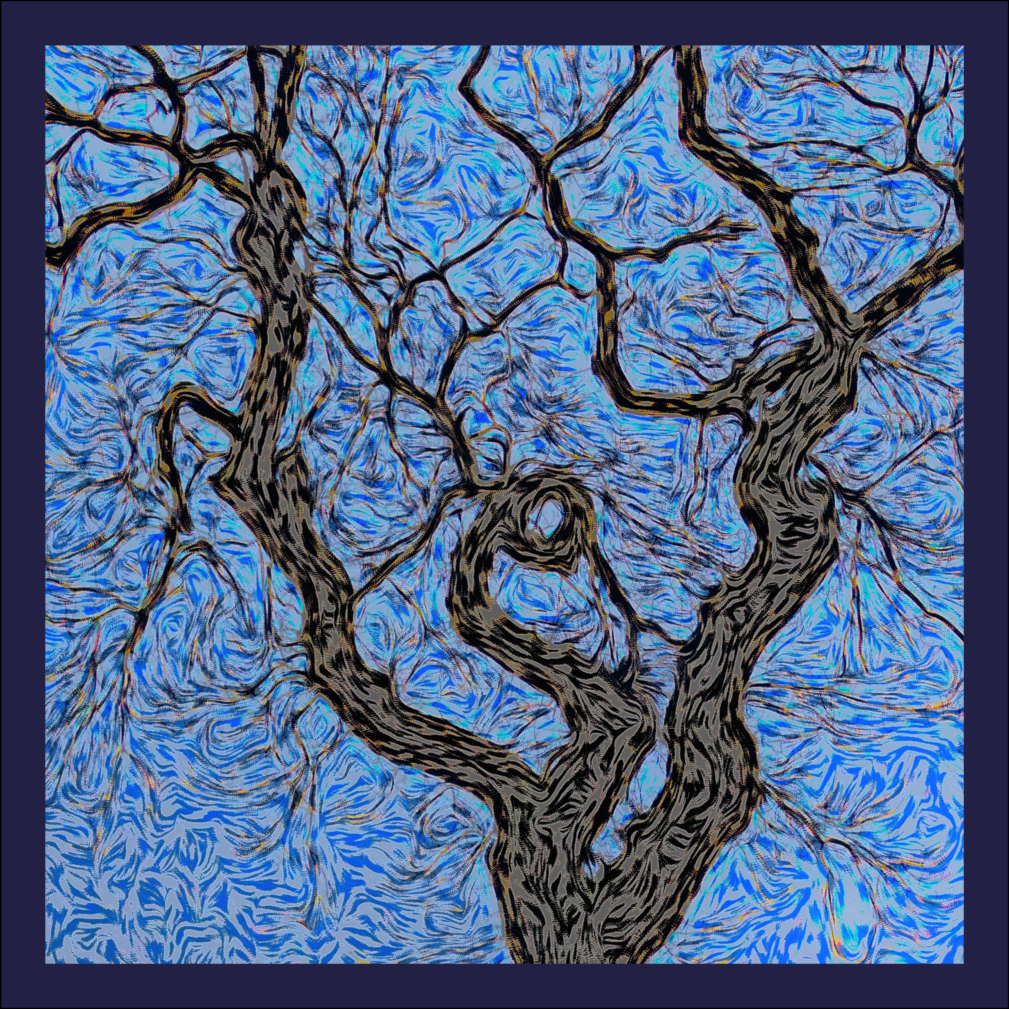 Blue oak