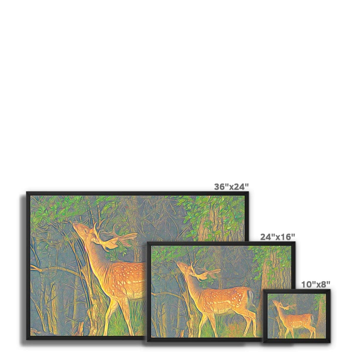 Young deer, Framed Canvas, by Ingrid Hütten