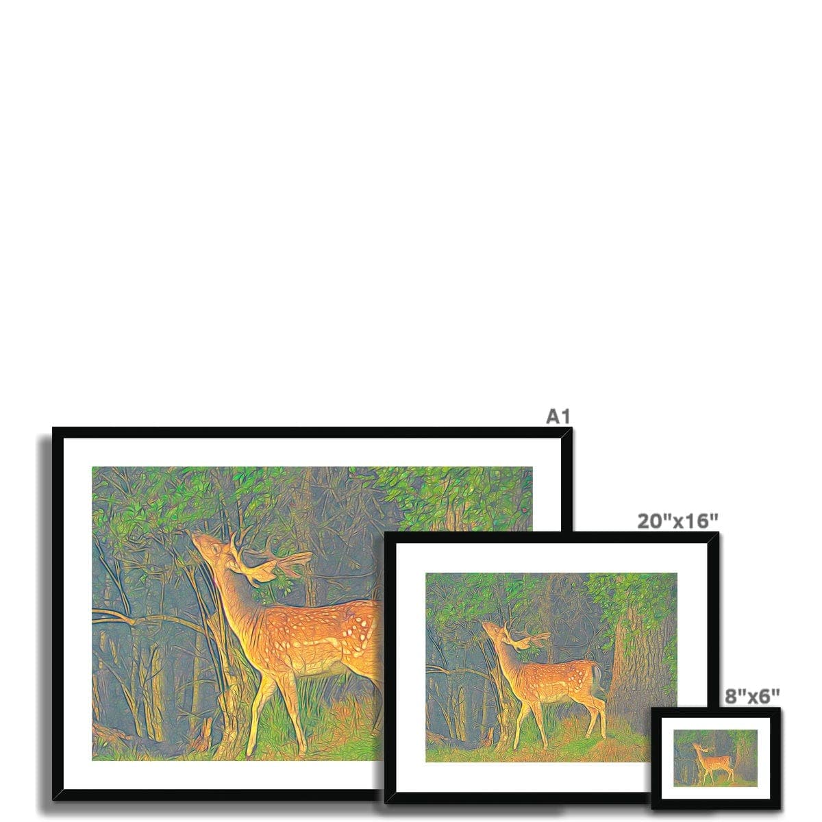 Young deer, Framed & Mounted Print, by Ingrid Hütten