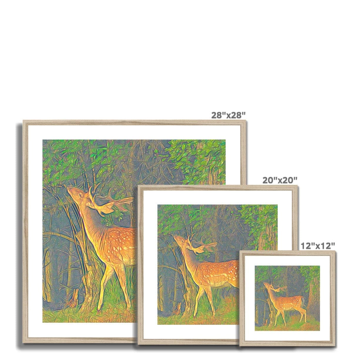 Young deer, Framed & Mounted Print, by Ingrid Hütten