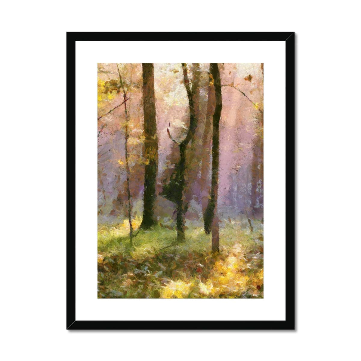 Beautiful Light in the Woods  Framed & Mounted Print