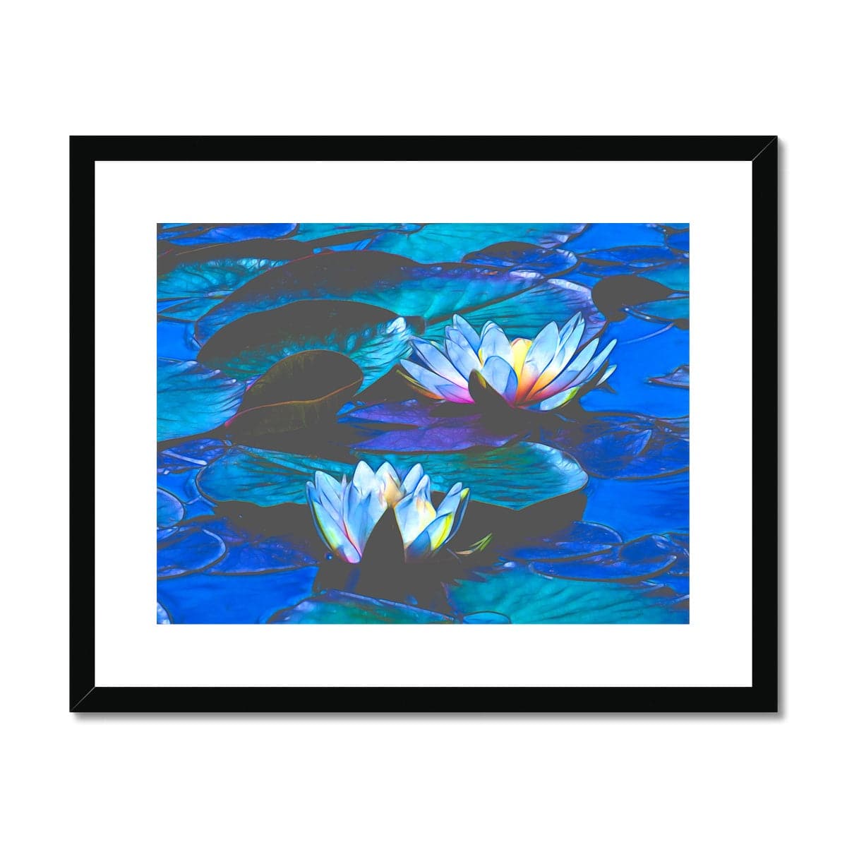 Blue waterlilies _3 Framed & Mounted Print