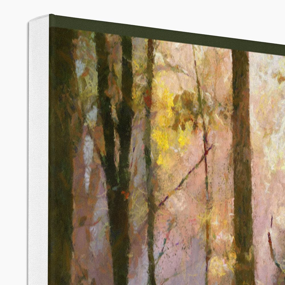 Beautiful Light in the Woods  Canvas