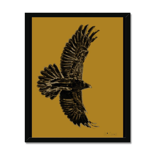 Eagle Gold on Black Framed Print
