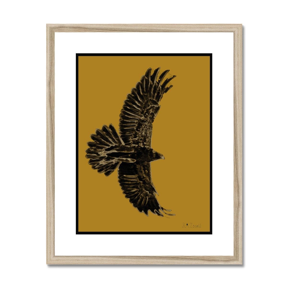 Eagle Gold on Black Framed & Mounted Print