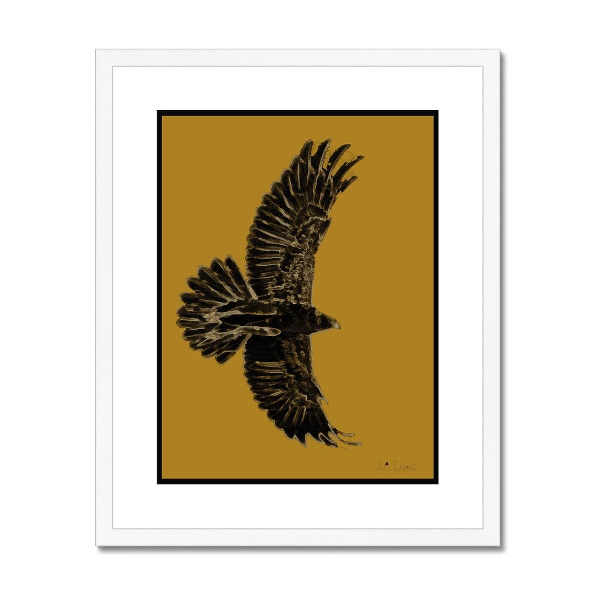 Eagle Gold on Black Framed & Mounted Print