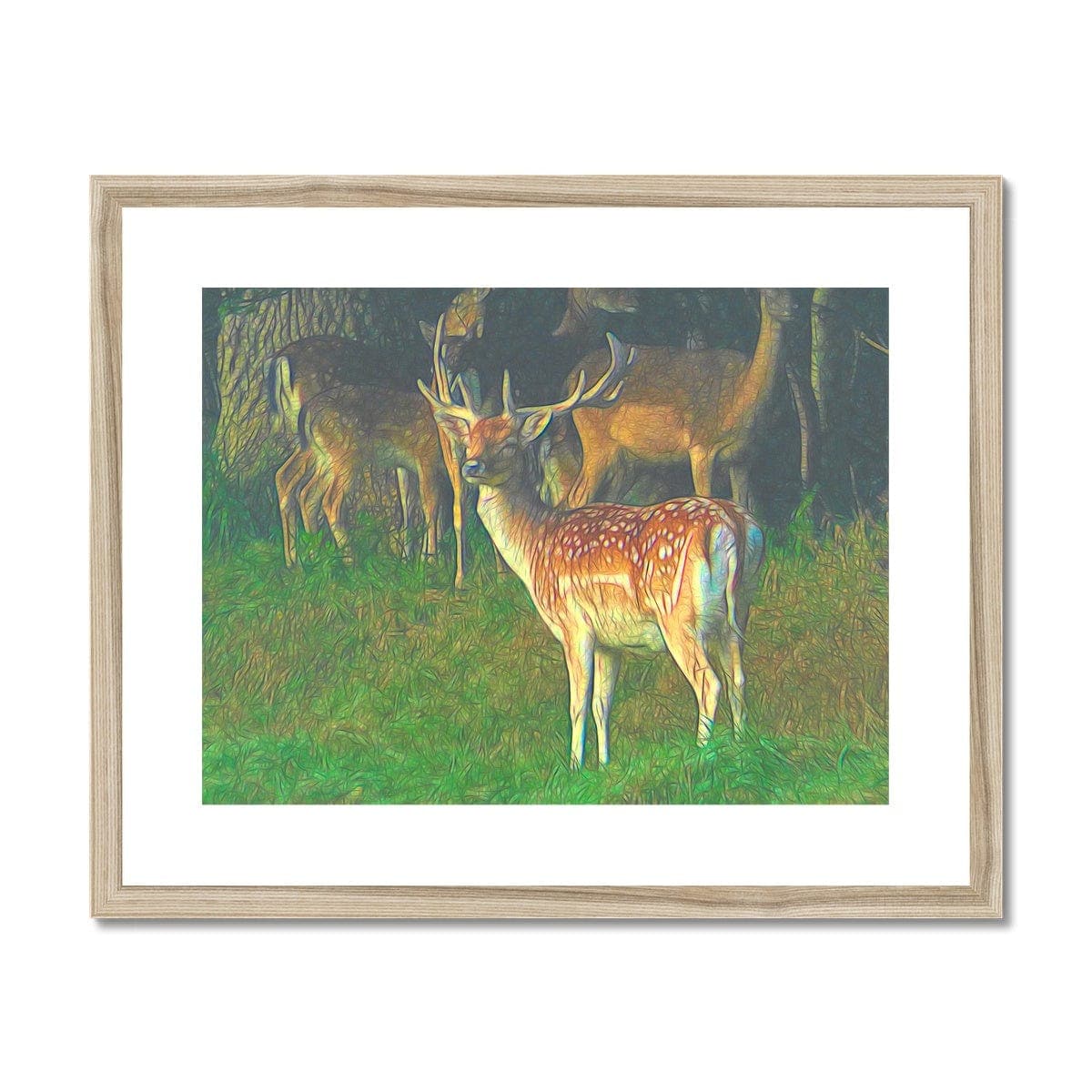Male deer, Framed & Mounted Print,by Mother Nature Art