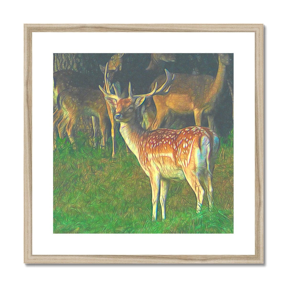 Male deer, Framed & Mounted Print,by Mother Nature Art