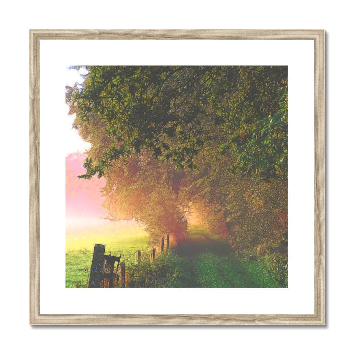 Morning glow,  Framed & Mounted Print, by Sensus Studio