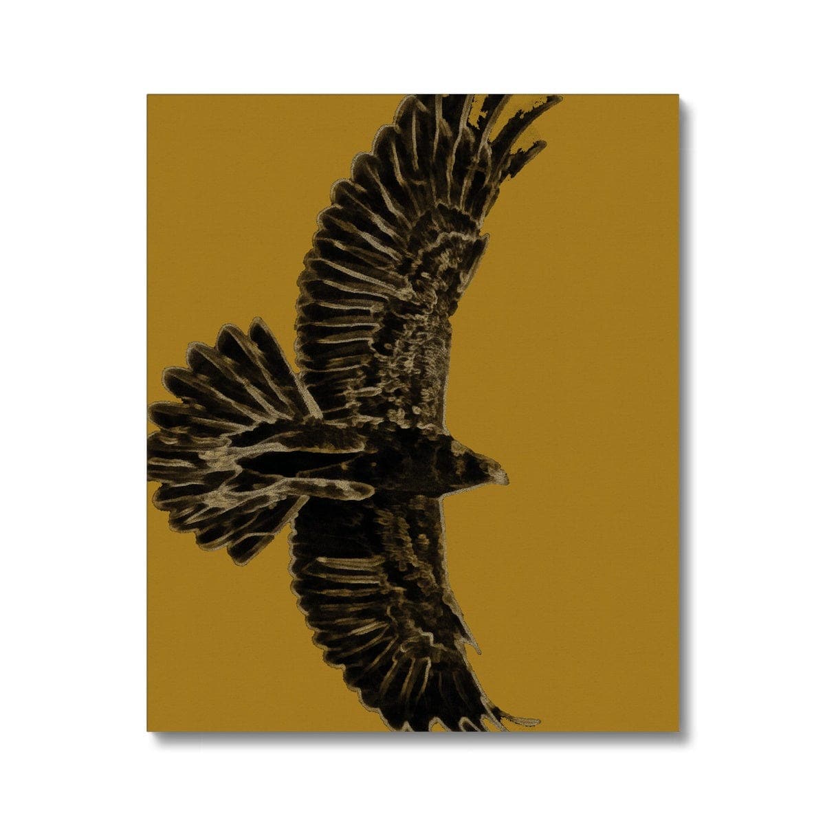 Eagle Gold on Black Canvas