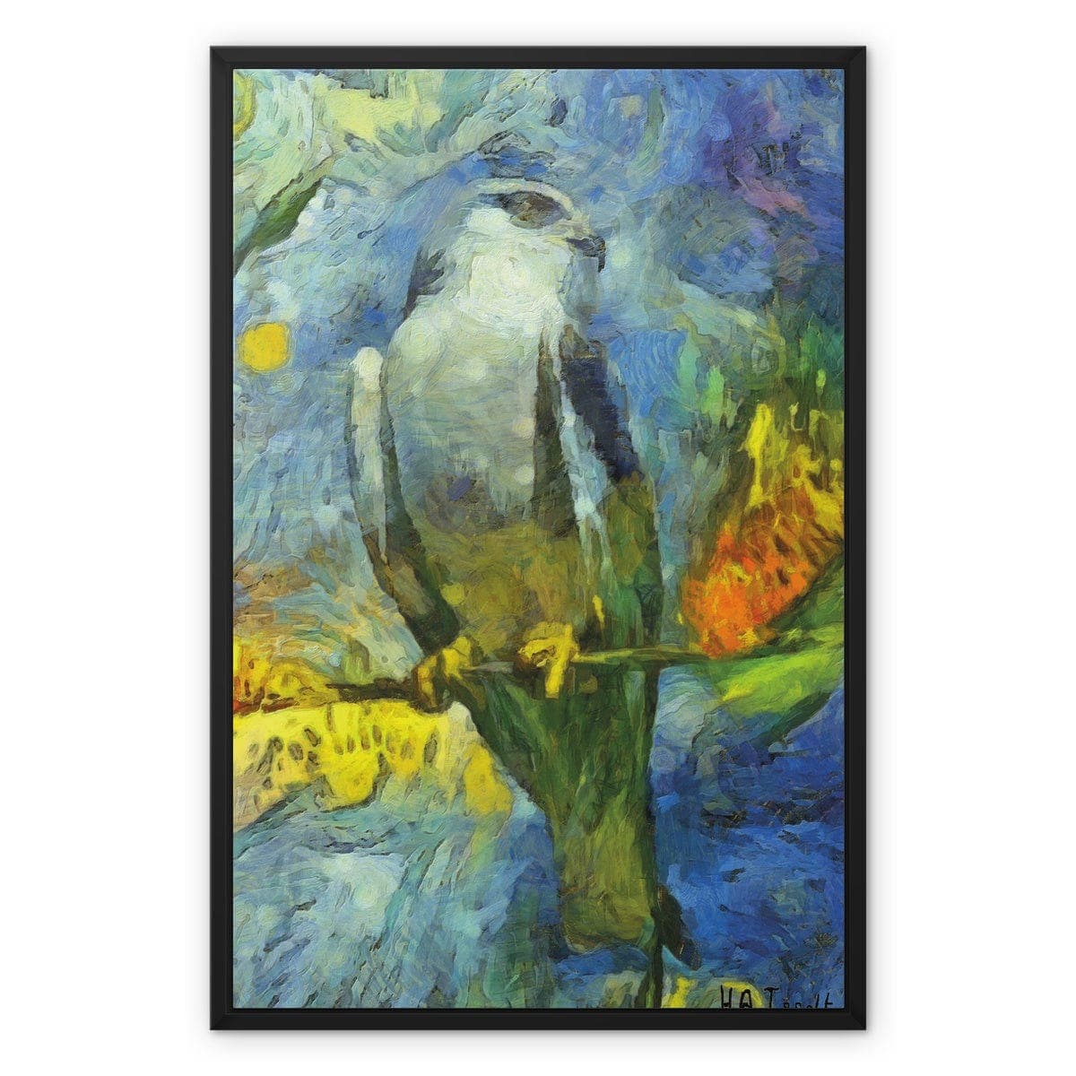 Falcon Framed Canvas