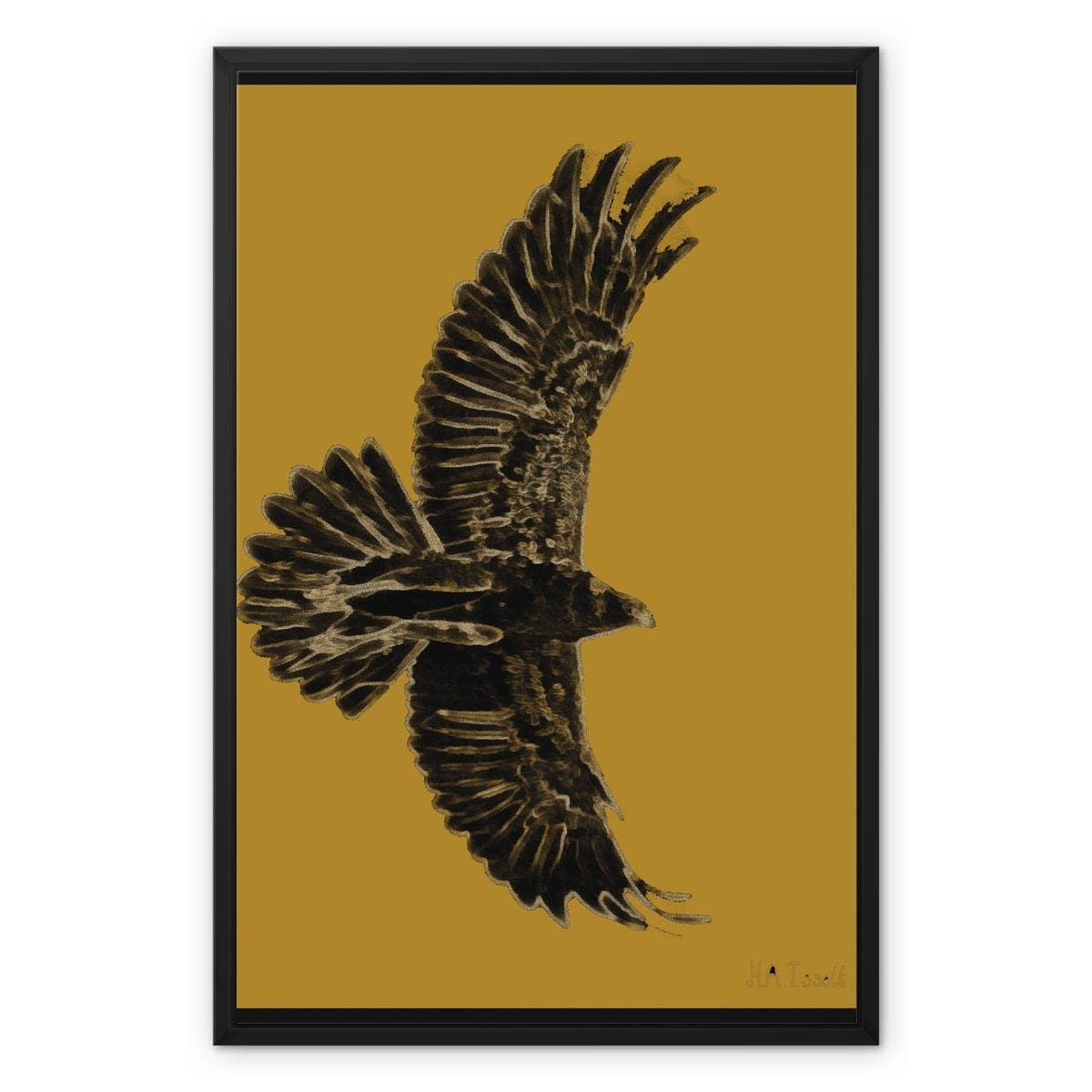 Eagle Gold on Black Framed Canvas