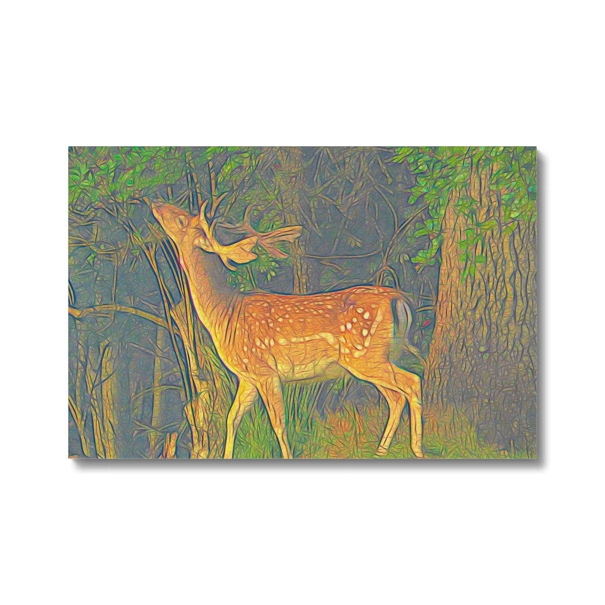 Young deer, Canvas, by Ingrid Hütten