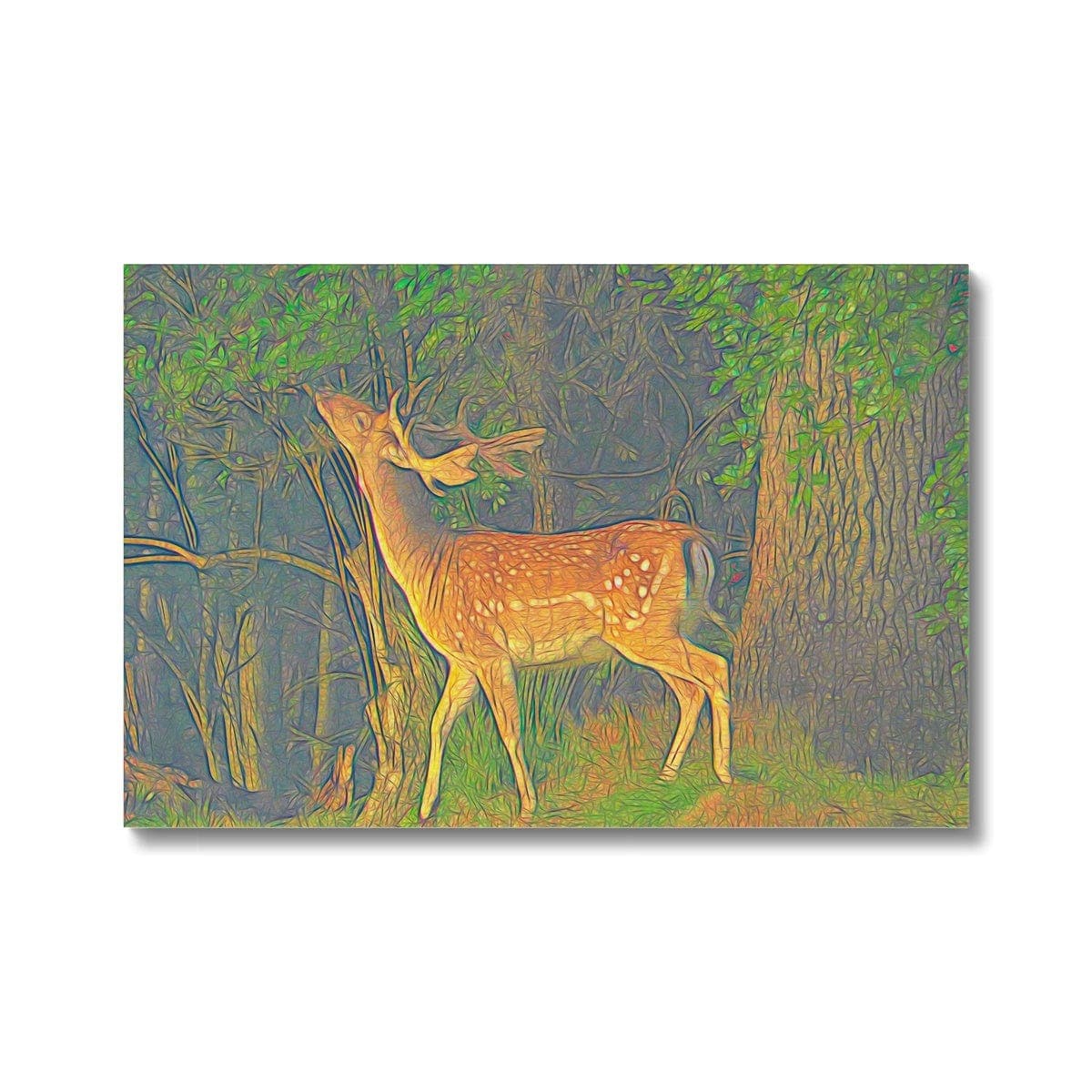 Young deer, Canvas, by Ingrid Hütten