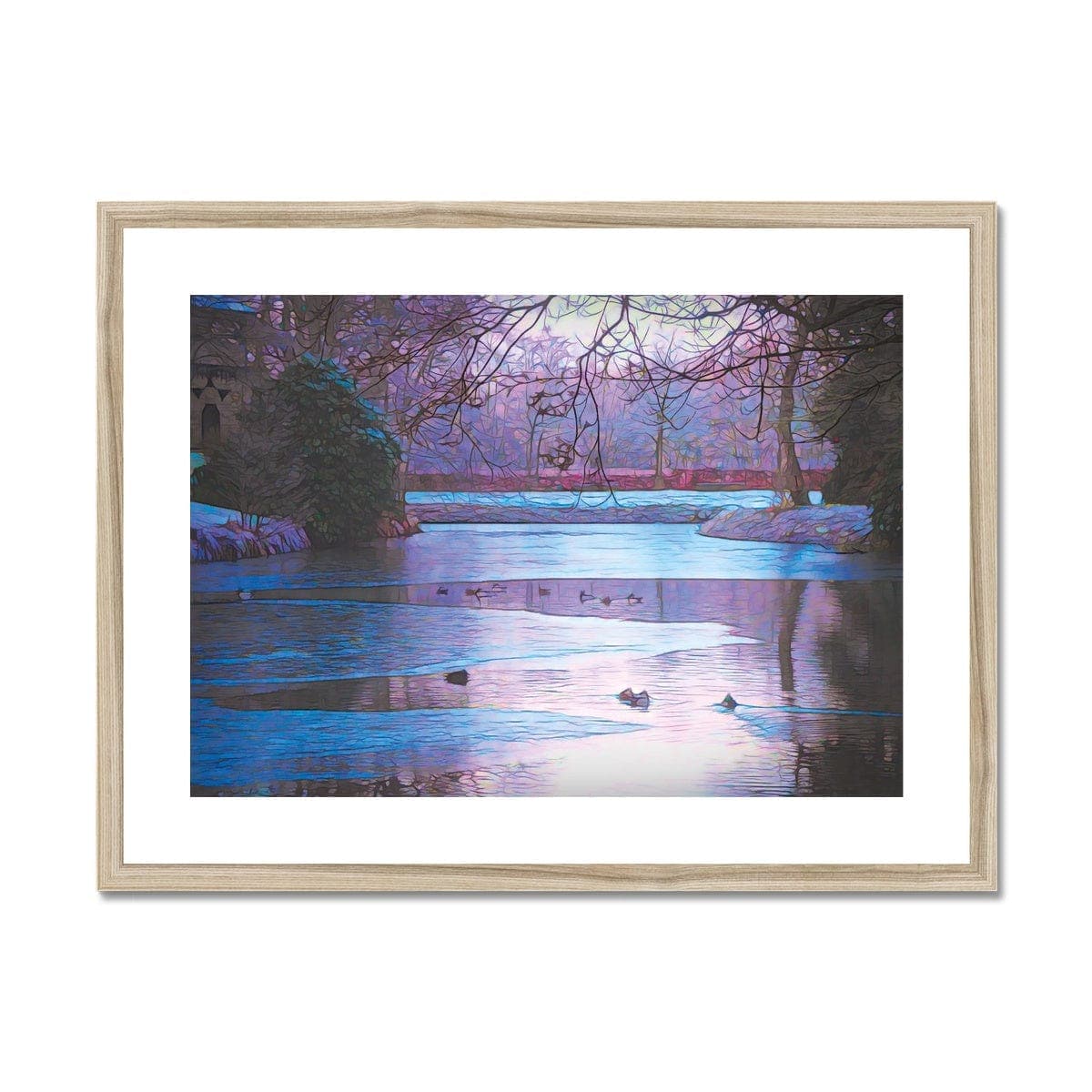 Winter pond Framed & Mounted Print