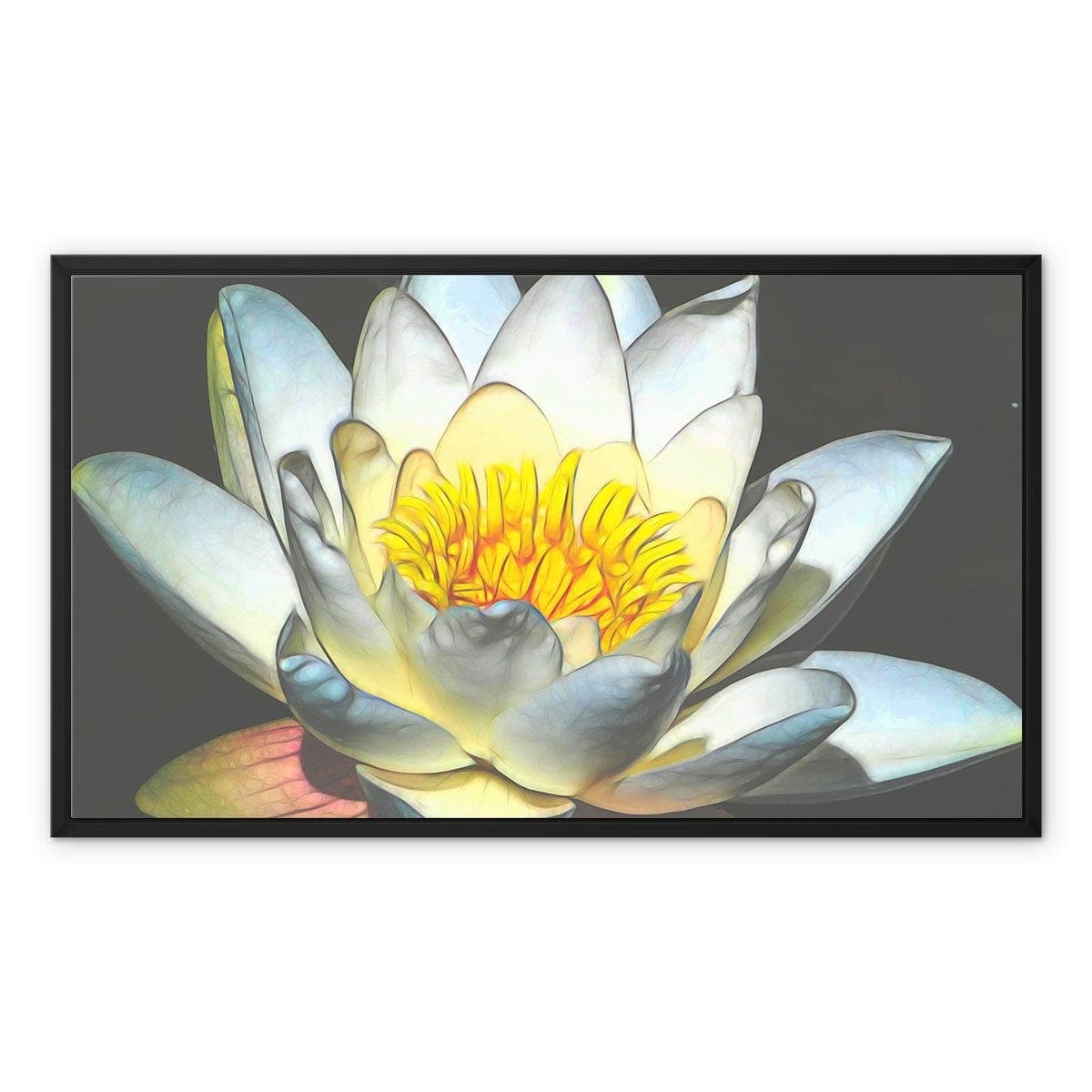 Soft white Lotus, Framed Canvas, by Sensus Studio