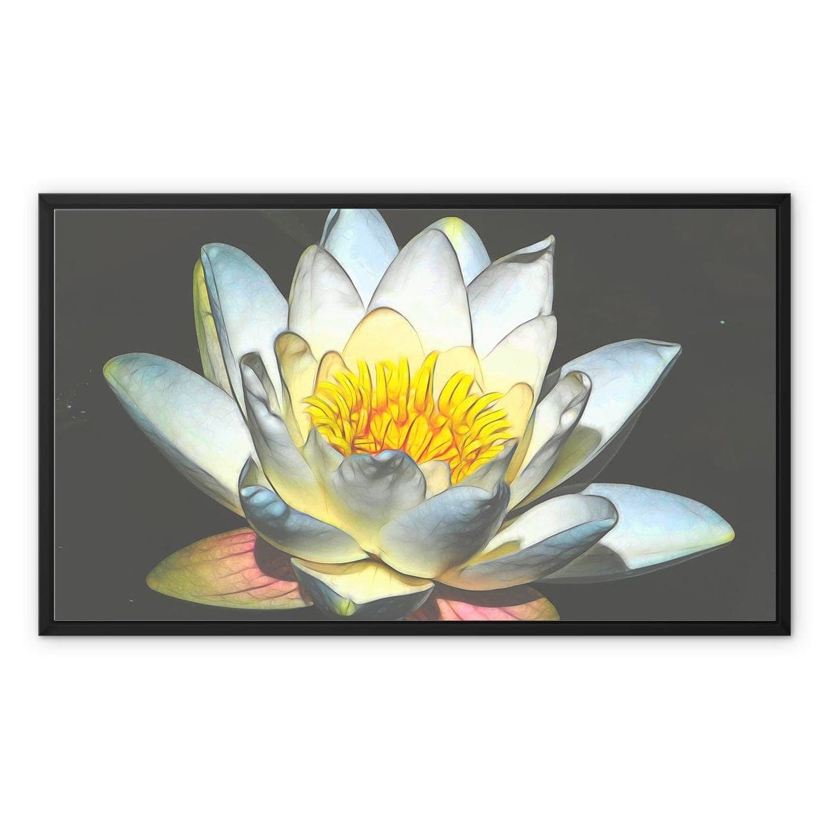 Soft white Lotus, Framed Canvas, by Sensus Studio