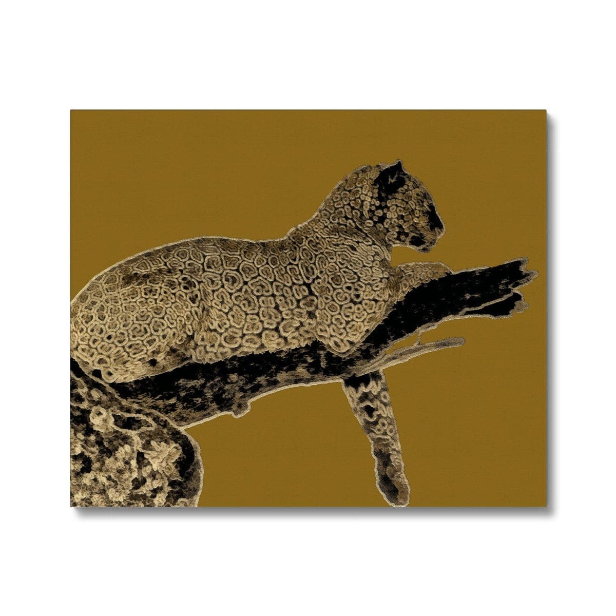 Leopard Gold on Black Canvas