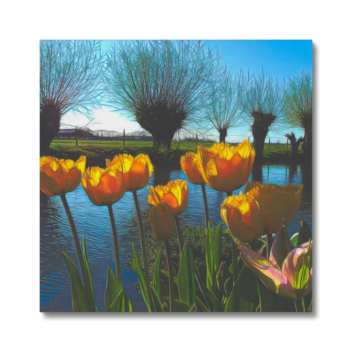 Yellow Tulips in Dutch landscape, Canvas, by Ingrid Hütten