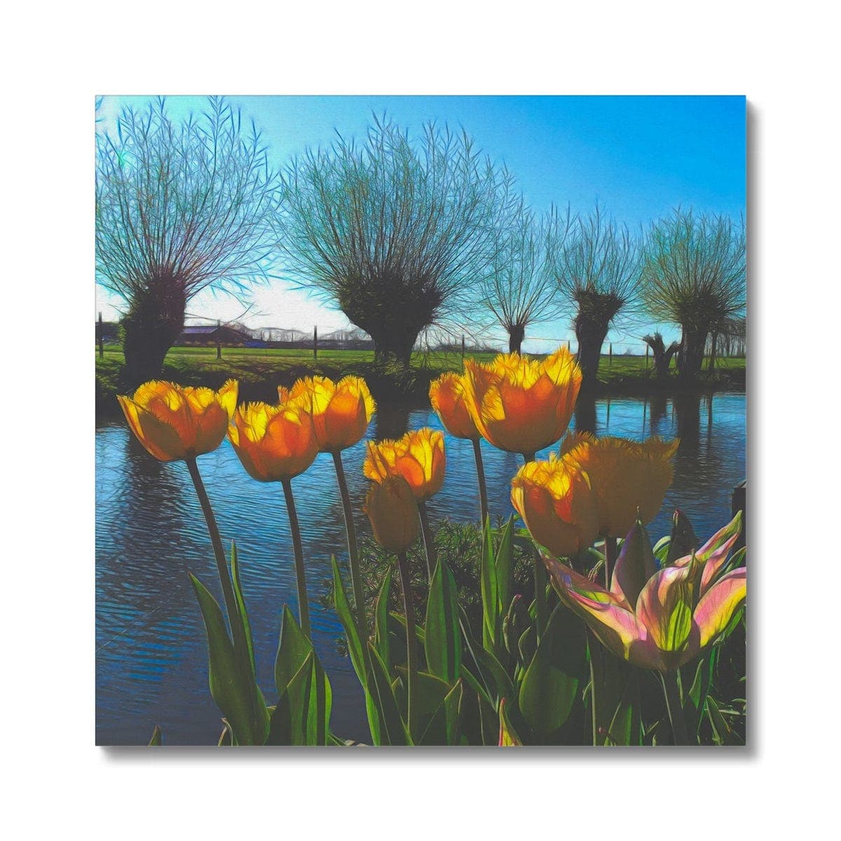Yellow Tulips in Dutch landscape, Canvas, by Ingrid Hütten