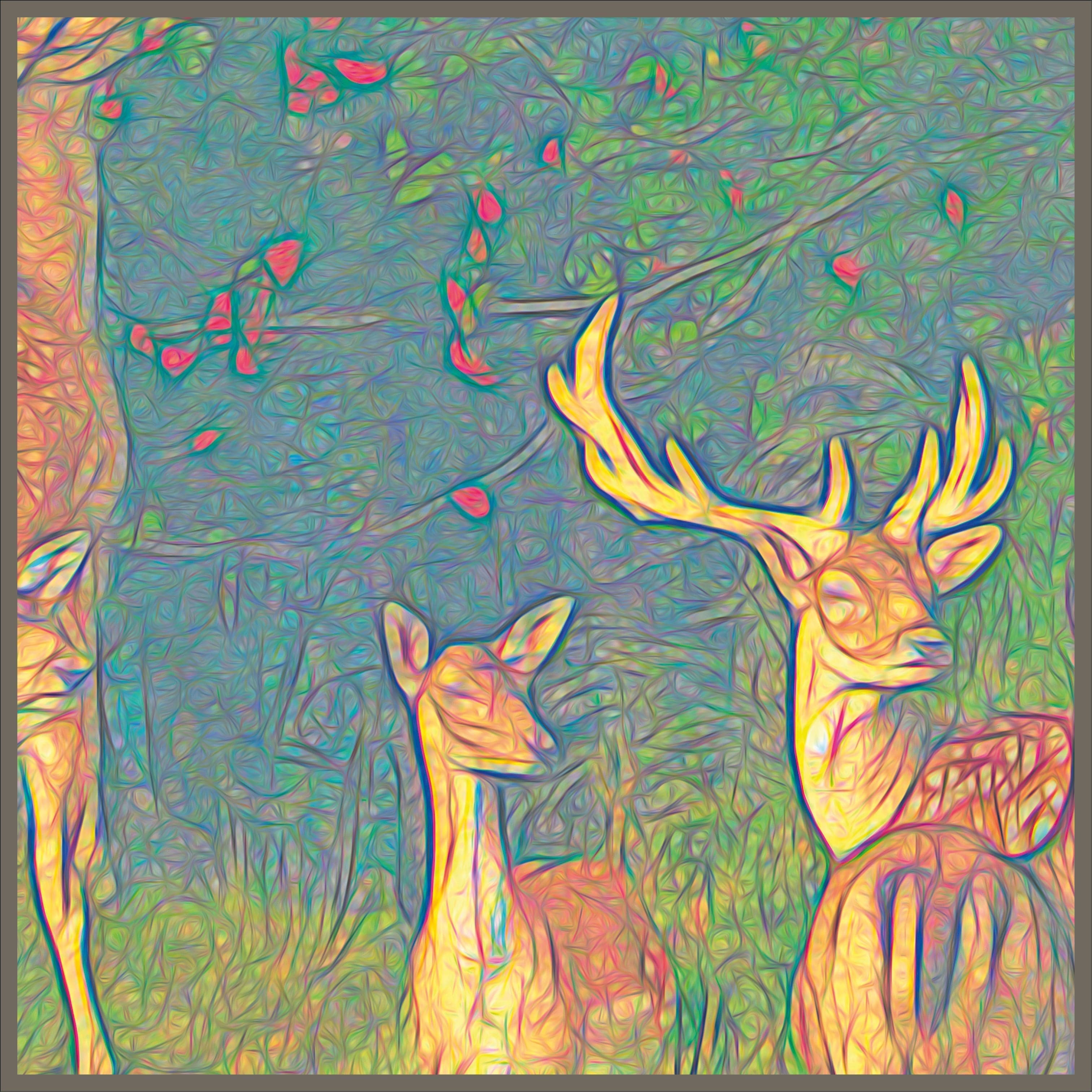 Deer pack in the forest, Framed Canvas,by Ingrid Hütten