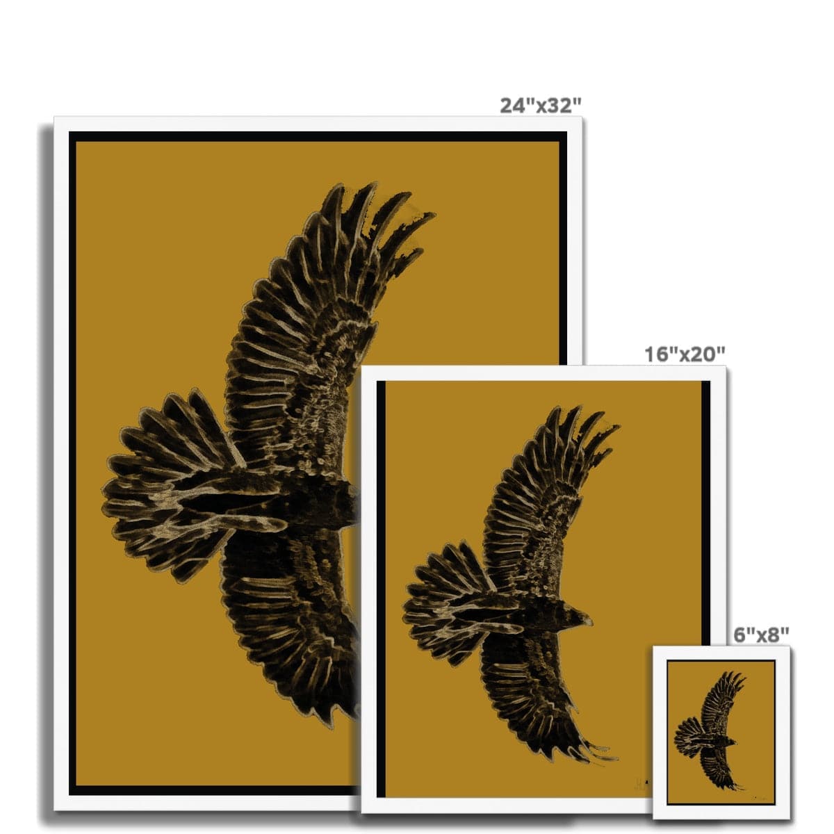Eagle Gold on Black Framed Print