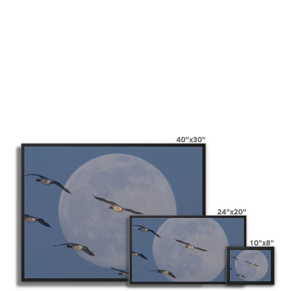 Fly me to the moon Framed Canvas, by Sensus studio