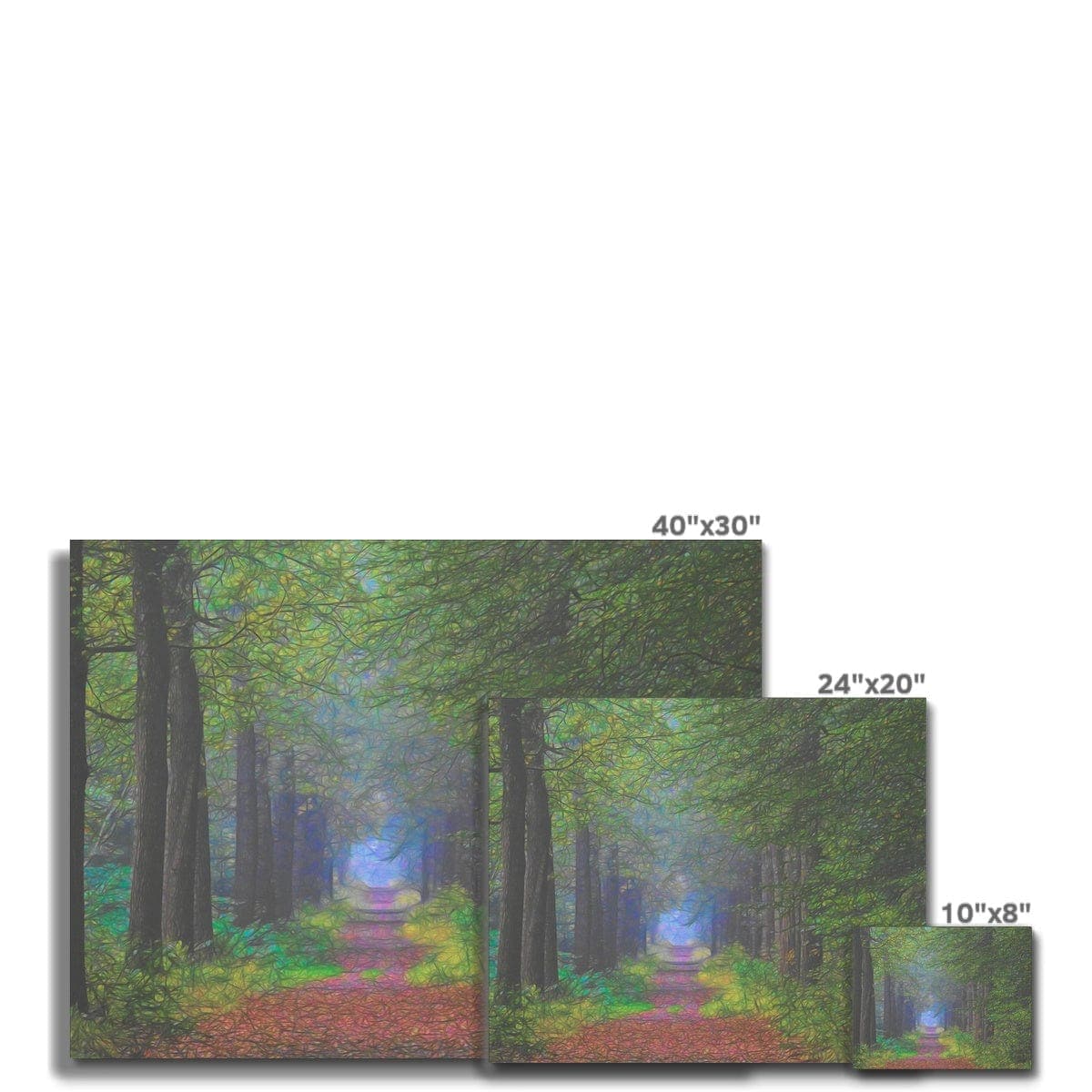 Forest lane, digital art on Canvas, by Mother nature photography