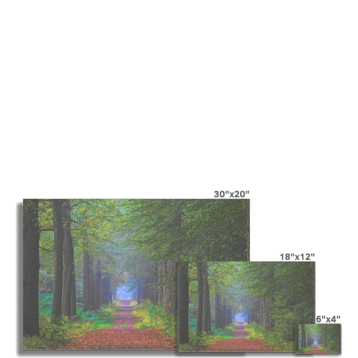 Forest lane, Hahnemühle German Etching Print, by Ingrid Hütten