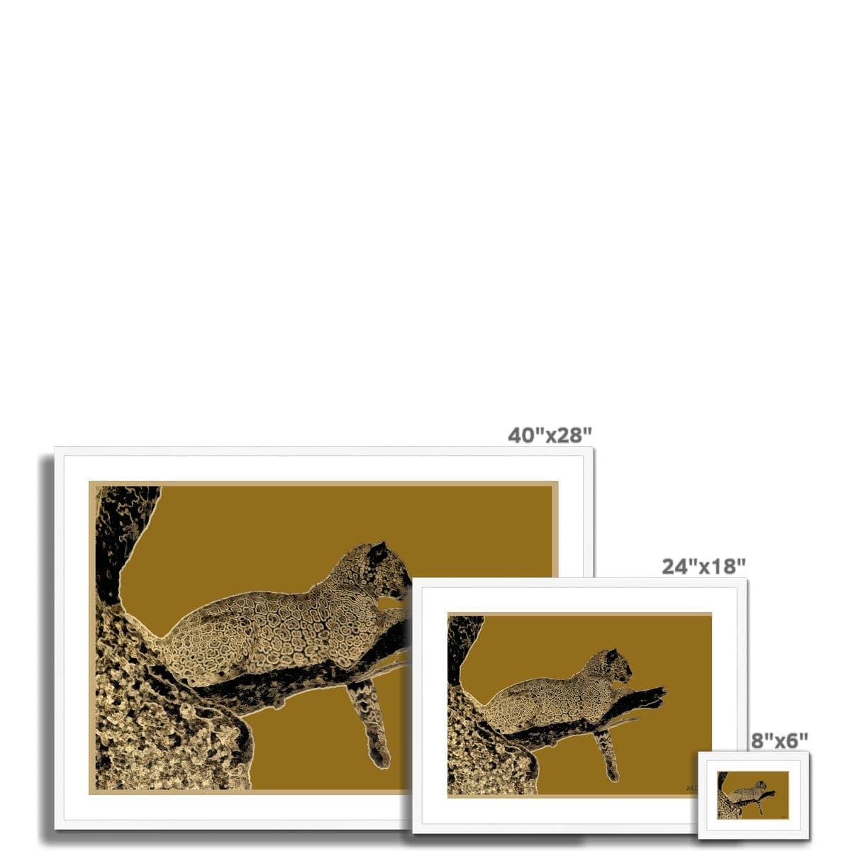 Leopard Gold on Black Framed & Mounted Print