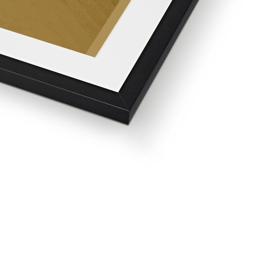 Toucan Black on Gold Framed & Mounted Print